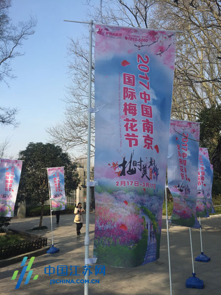 南京国际梅花节2月17日开幕 最佳赏梅期来了