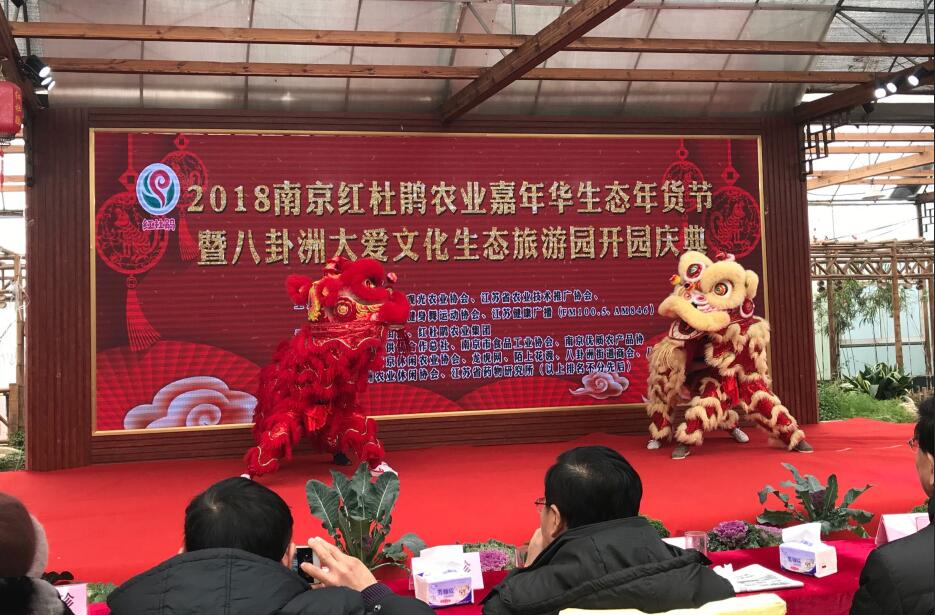 中国江苏网讯(通讯员 汤雅洪 记者 张静)1月24日正值传统节日腊八节,俗话说,过了腊八就是年,2018南京红杜鹃农业嘉年华生态年货节选择在这一天拉开大幕,多姿多彩的节目表演、规模盛大、农副产品丰富的展销会吸引了周边市民踊跃前往。以红色为主基调的活动现场一派喜气洋洋、热闹非凡的场景,将年味衬托得愈发浓郁。 市民又添好去处 红杜鹃购买观赏游园乐翻天 据悉,南京八卦洲红杜鹃生态农业园是江苏省十大菜篮子供应基地之一,此次年货节为让广大市民快快乐乐购年货,欢欢喜喜过大年,主办方更是准备了大量的原生