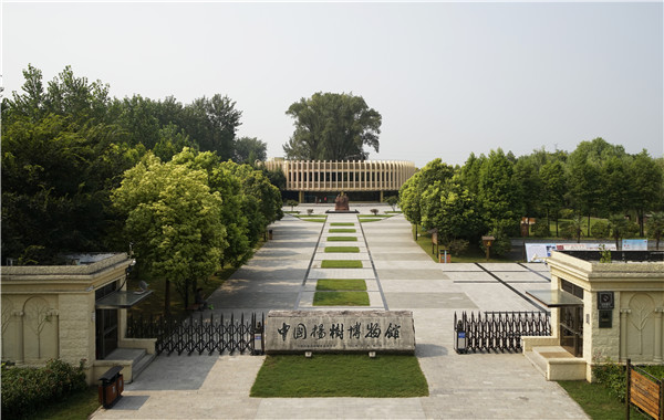 园集乡人口_人口普查图片(3)