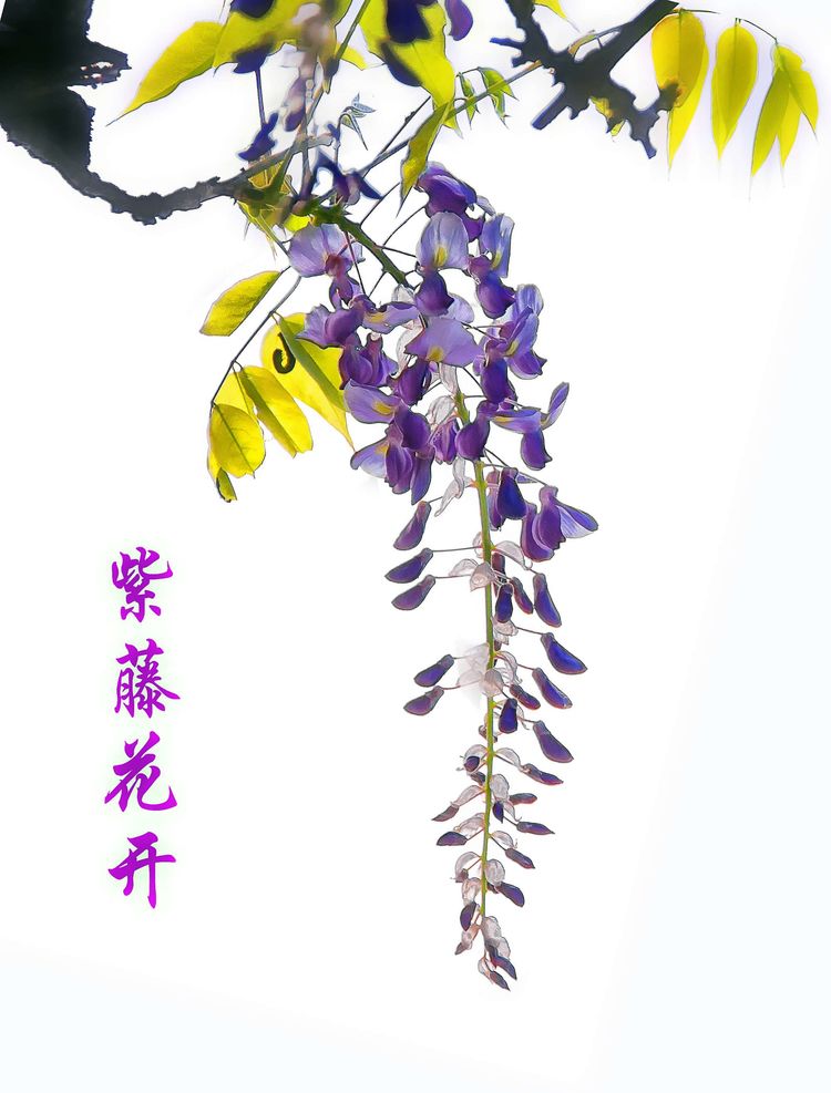 水韵江苏 第十九期 《春暖花开》