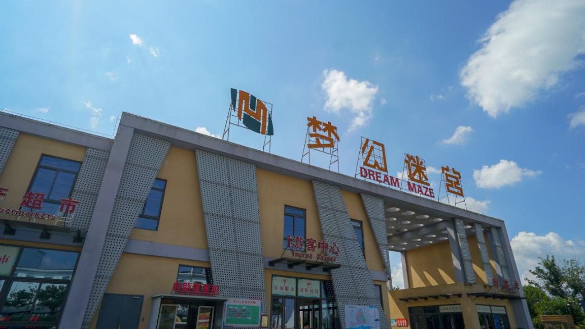 美丽江苏·每日一景丨盐城大丰梦幻迷宫:在树篱间追寻时光之美