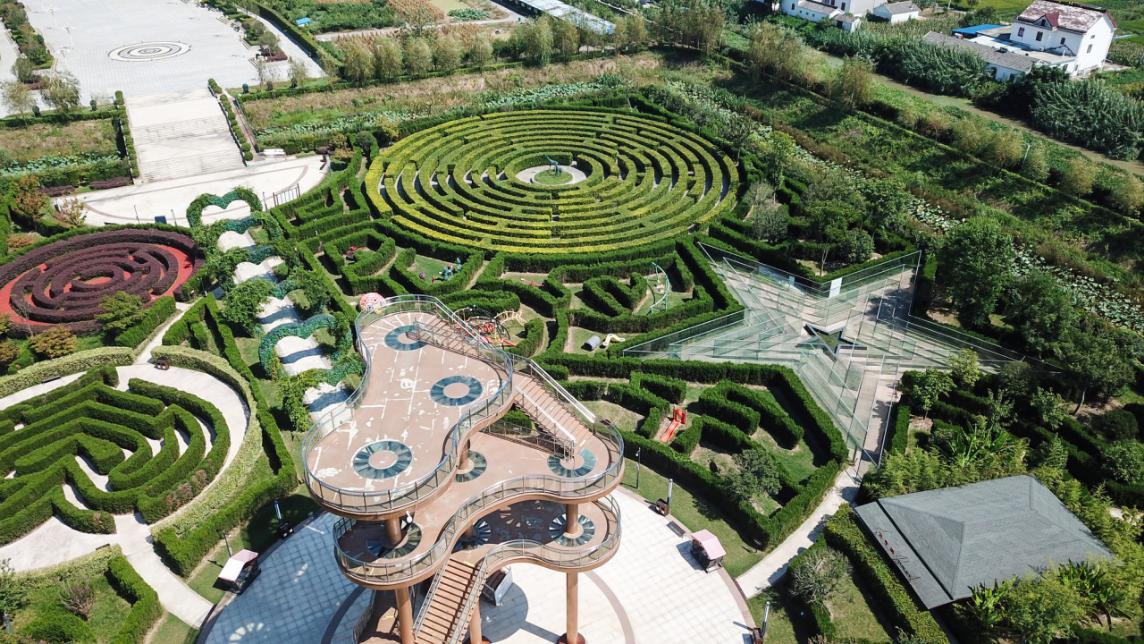 美丽江苏·每日一景丨盐城大丰梦幻迷宫:在树篱间追寻时光之美