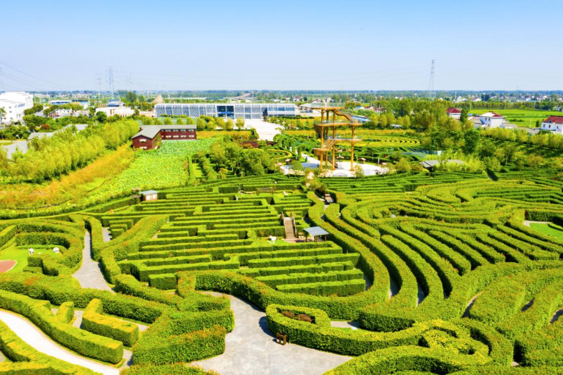 美丽江苏·每日一景丨盐城大丰梦幻迷宫:在树篱间追寻时光之美