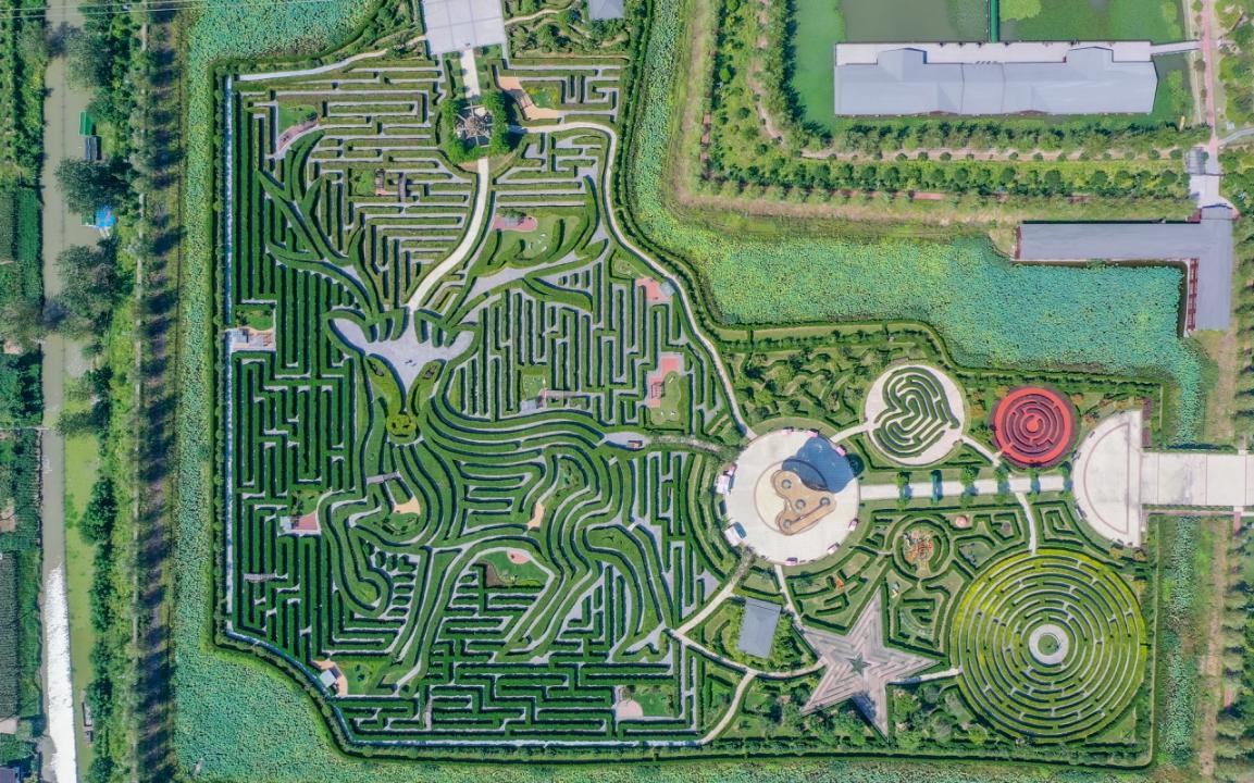 美丽江苏·每日一景丨盐城大丰梦幻迷宫:在树篱间追寻时光之美
