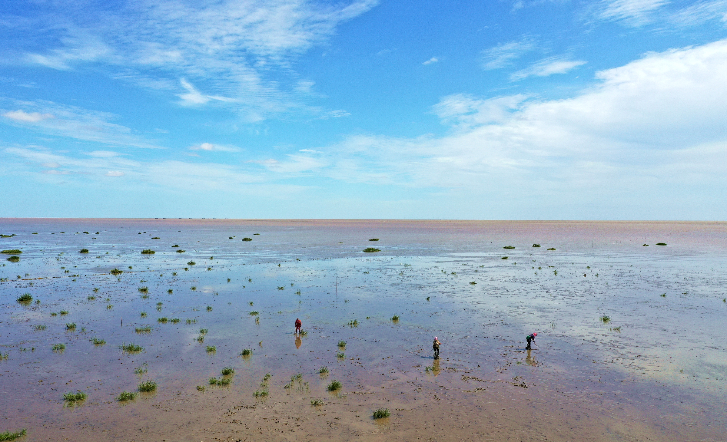 DJI_0756_副本.jpg