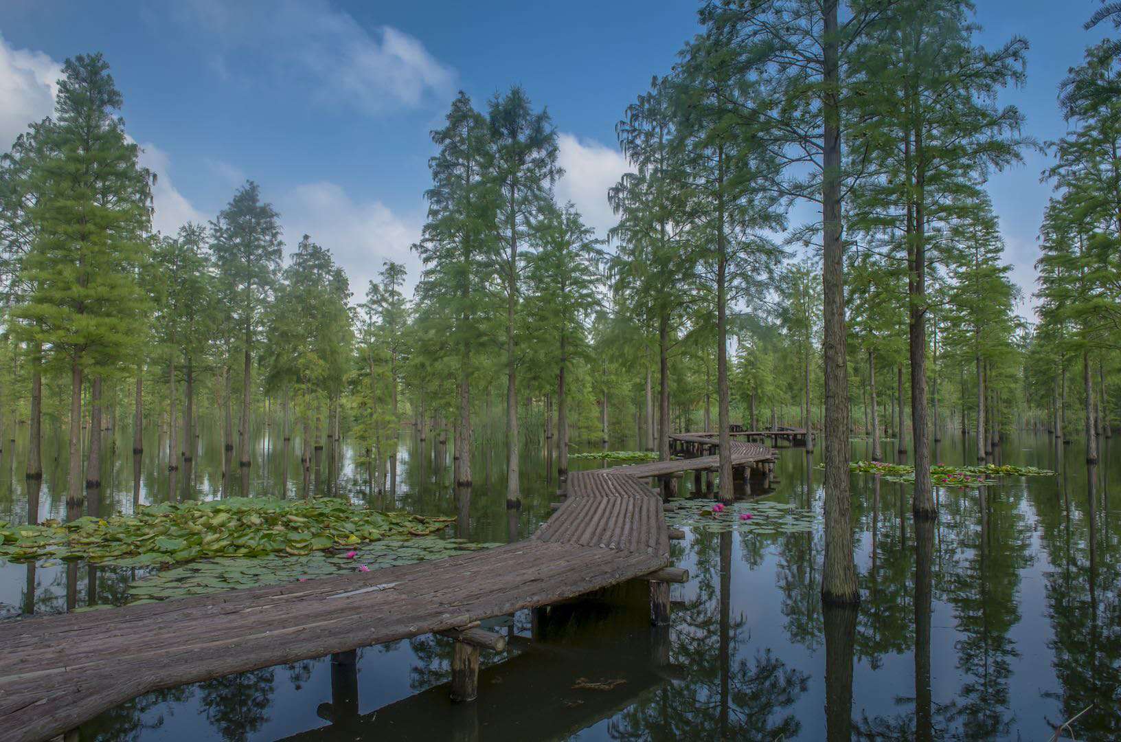 瑶湖森林湿地公园电话图片