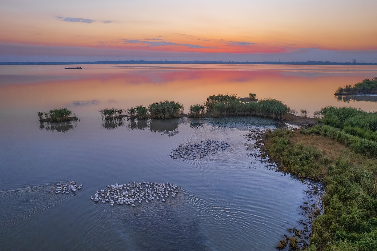 2021渌洋湖湿地公园-旅游攻略-门票-地址-问答-游记点评，江都旅游旅游景点推荐-去哪儿攻略